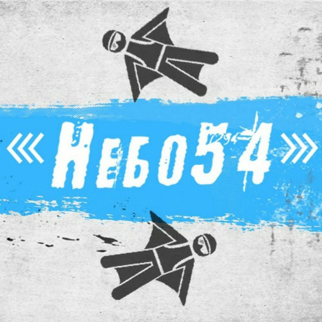 ✈️ Прыжки с парашютом в Новосибирске Небо54