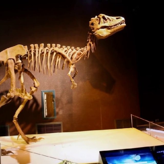 Палеонтология ?