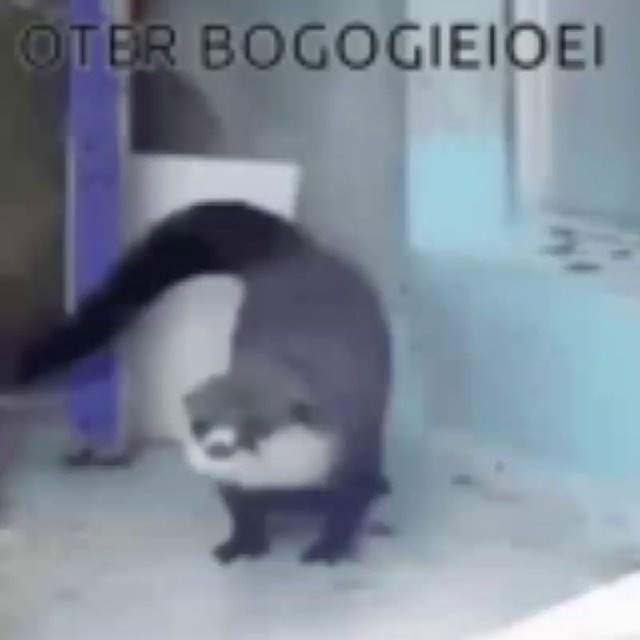 Зелёная мявуша