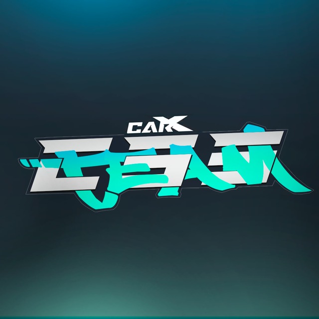 CSS • TEAM