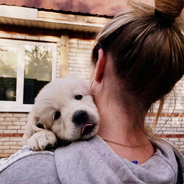 Лена и её Dog-Дача -...
