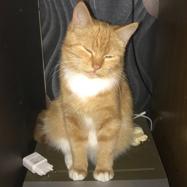 Юра, что вы сделали?!?!