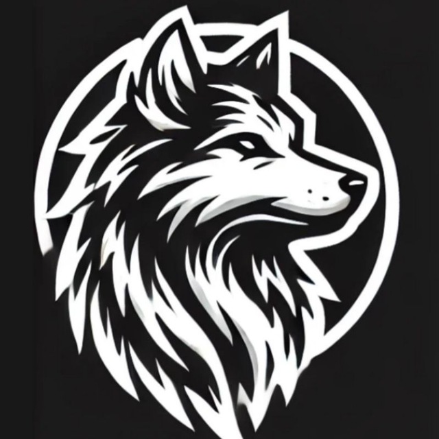 VOLK_CINEMA
