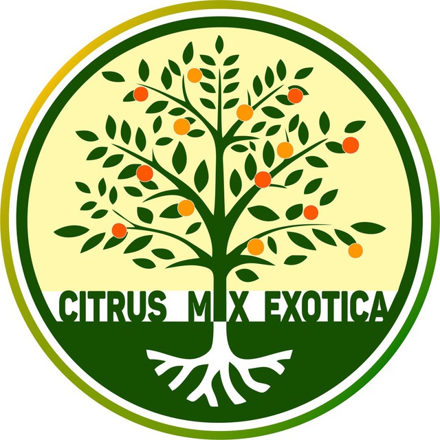Цитрус Микс #citrus_mix_exotica