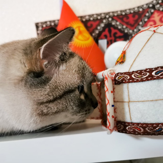 Дневник кочевника ?