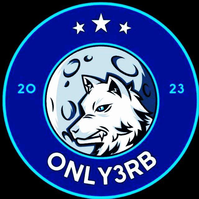 ONLY3RB SKINS