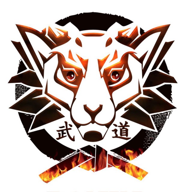 RONIN FAMILY BJJ & Grappling?