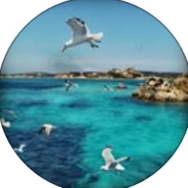 Нетипичные туристы ?