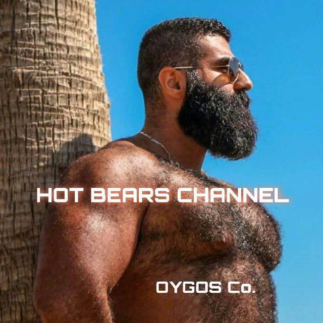 Telegram канал HOT BEARS OYGOS  @hotbearsbrasil TGStat 