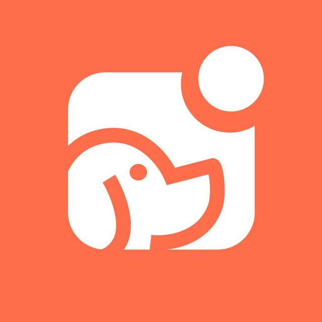 Ветеринар Мария Аболонкова и друзья