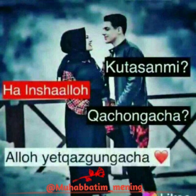 Liskada jinsiy aloqa