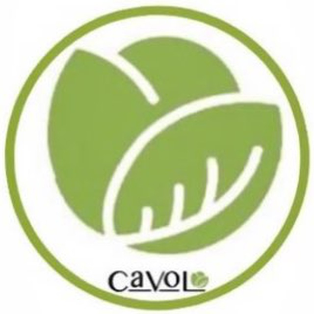 Cavolo - аксессуары для мобильных