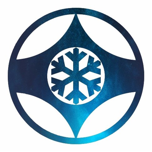 XXVIII Новогодний Турнир по киокусинкай, г. Новосибирск