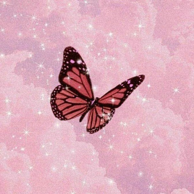 Ꮶᴀᴩᴛинᴋи?