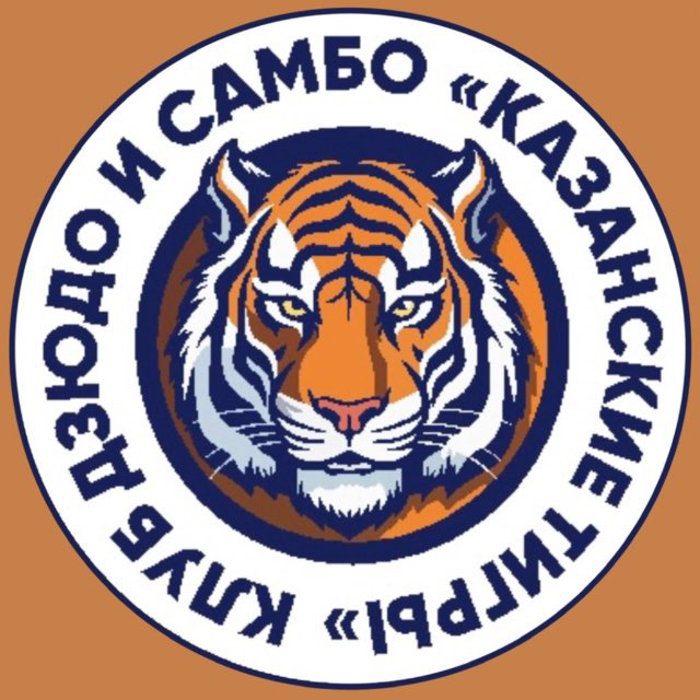 Клуб дзюдо и самбо «Казанские тигры»