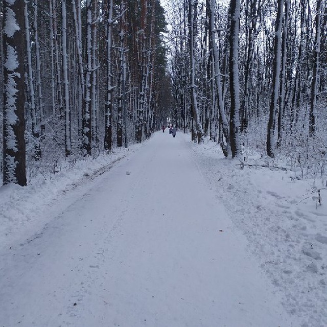 Блог Владислава Кочерыжкина