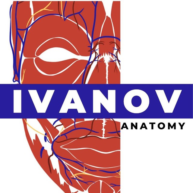 IvanovAnatomy?Кадавер-курсы