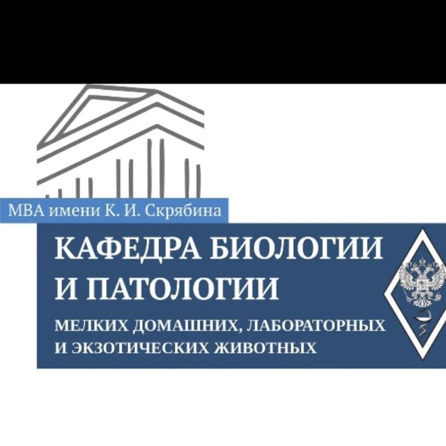 Кафедра ветеринарной хирургии. Отделение болезней мелких домашних животных.