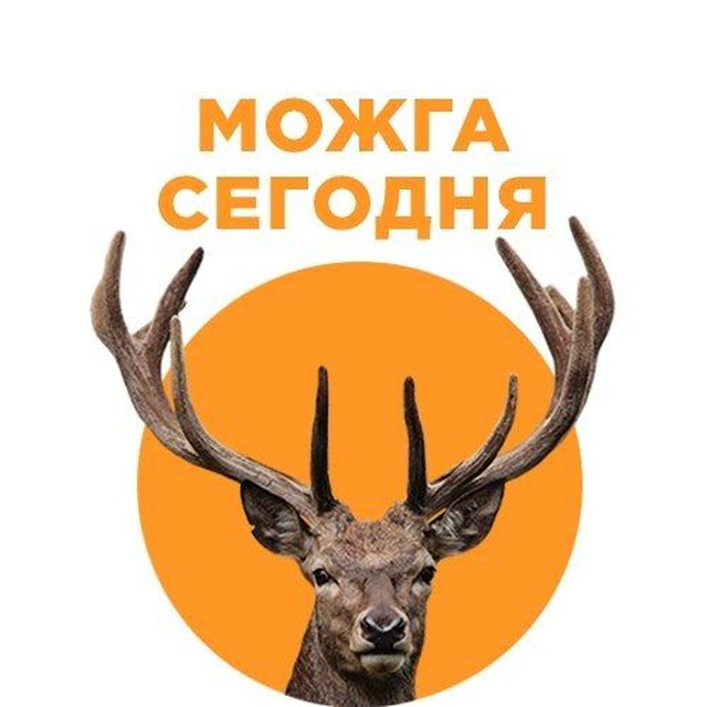 Можга сегодня