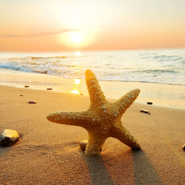 СИАТУР✈️? Туристическая компания