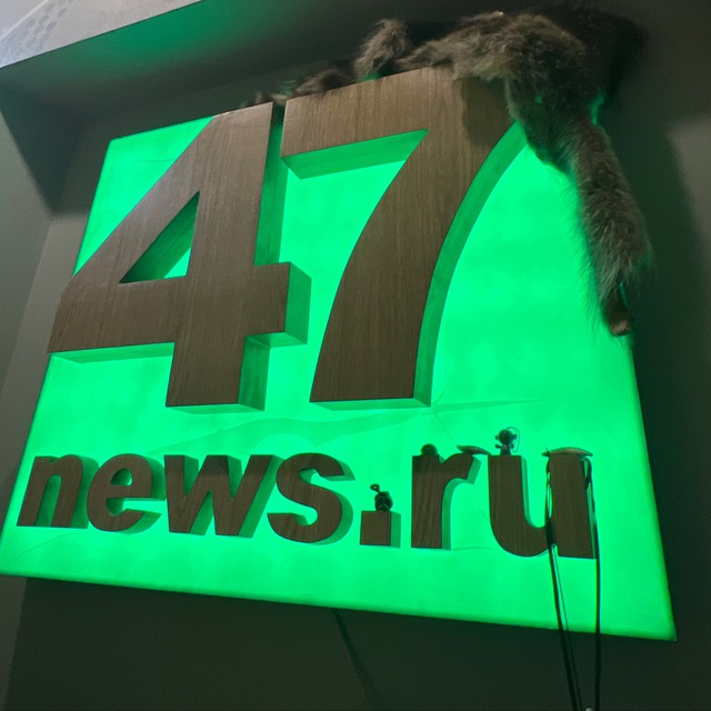 47news?