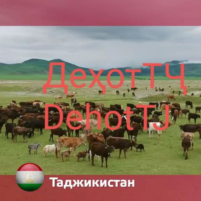 Дехот ТЧ