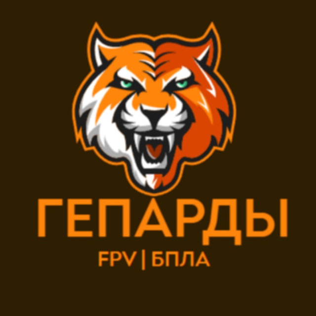 ГЕПАРДЫ | FPV ??