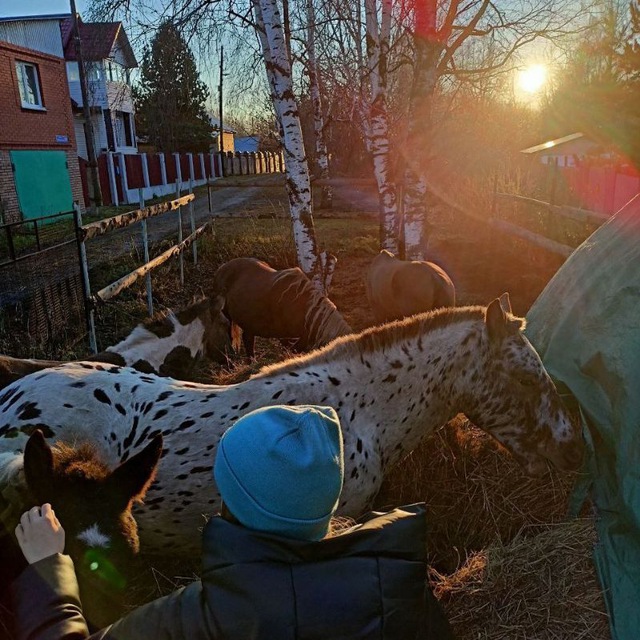 ☀️??? ??????????? • ??☀️