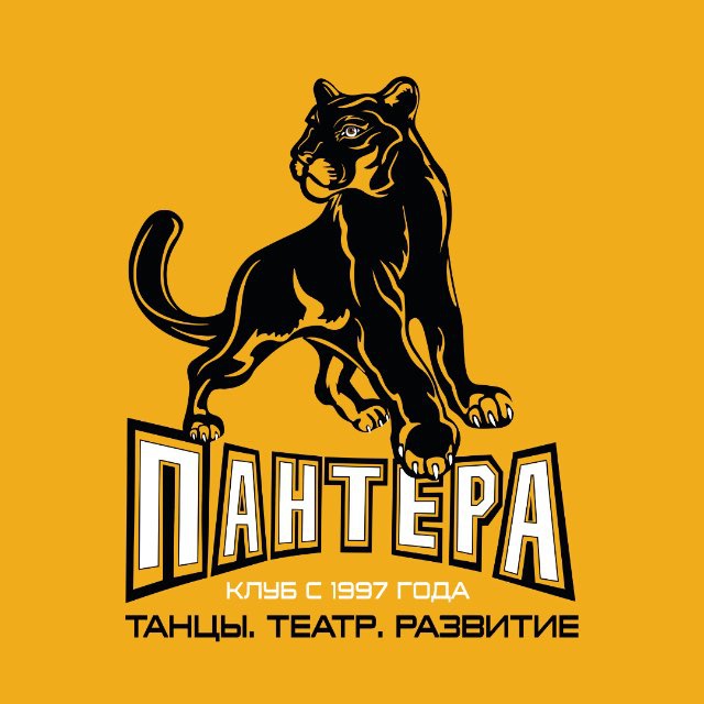 Франшиза центра спортивного и эстетического развития для детей и взрослых «Пантера» с 1997 г.