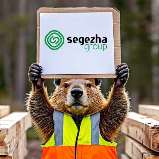 ? Segezha Group в Лесосибирске ?
