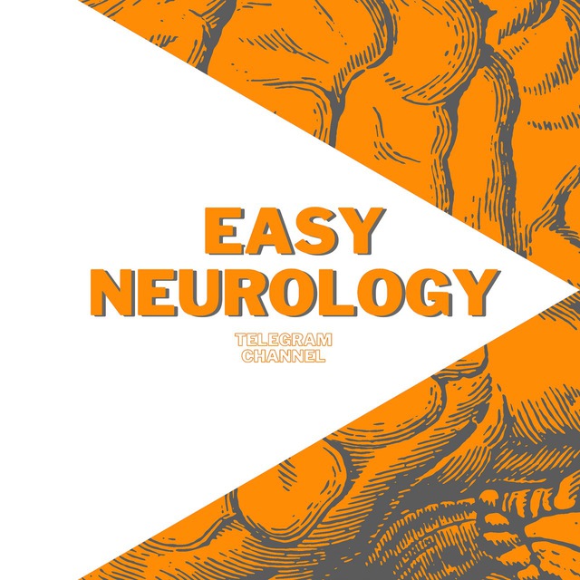 EasyNeurology