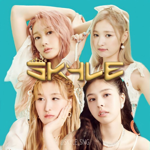 ????? • 스카이리