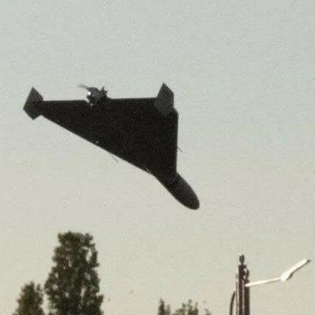 Цветёт?Герань 18+ |...