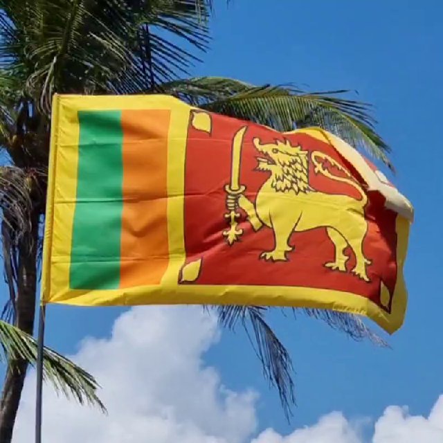 ШРИ-ЛАНКА ЭКСКУРСИИ. НОВОСТИ. ?Nashalanka_srilanka