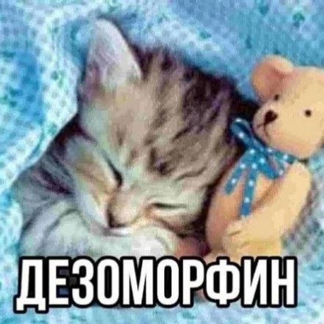 наркопритон.