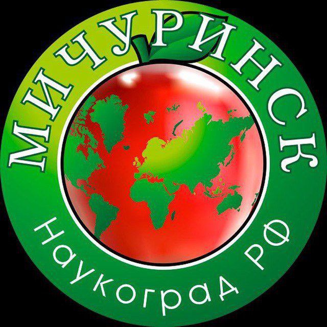 Город Мичуринск