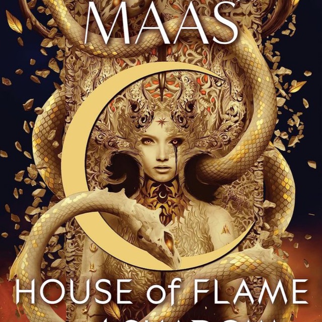 Переводы книг House of Flame and Shadow