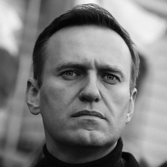 Зеленый бор?
