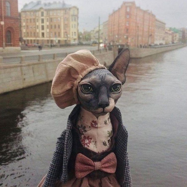 Котоград