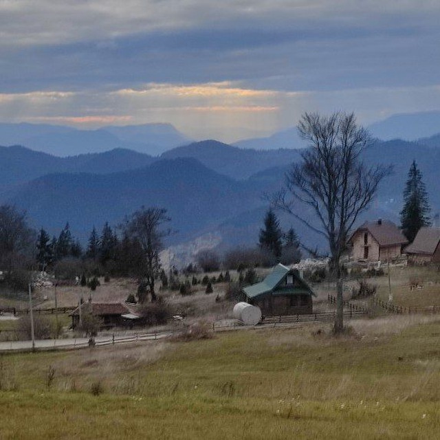 Жёлудь