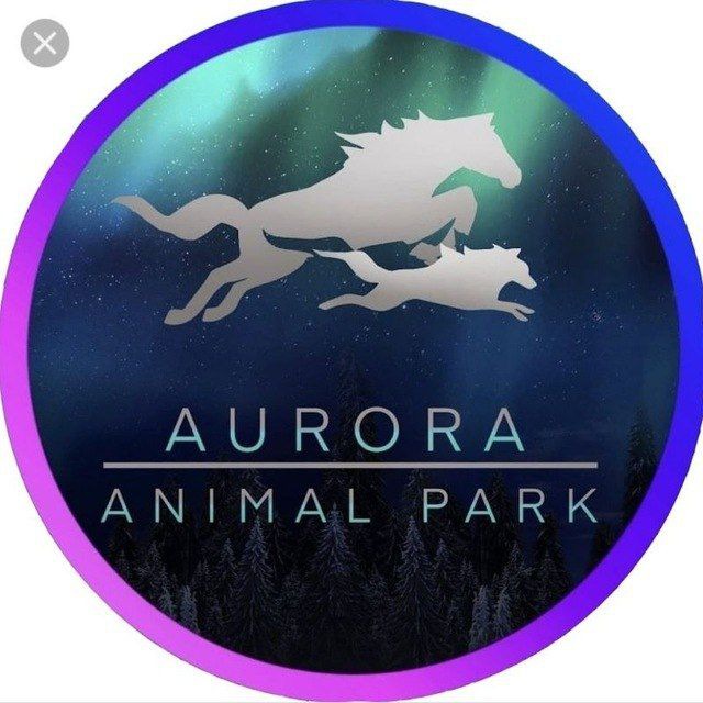 Animal Park Aurora ??