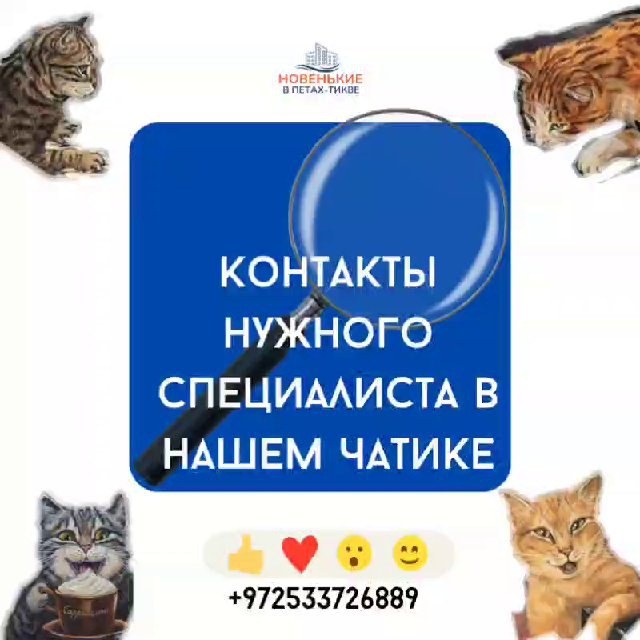 PR•SMM•Продвижение от...