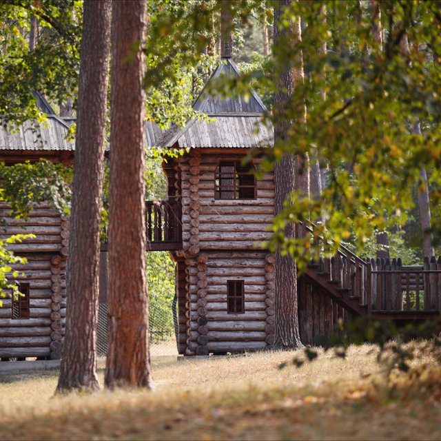 «Лесная сказка» Воронеж