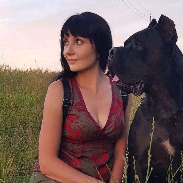 Celebrity Starlet питомник Кане Корсо