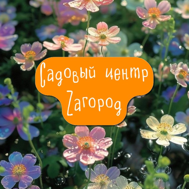 Zaгород ? Уссурийск