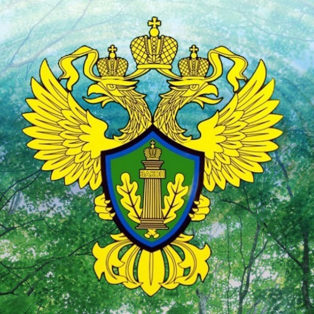 ЗабМУРПН