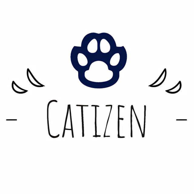 Catizen разбор игры | Блог