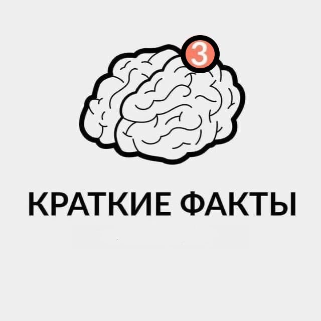 Краткие факты