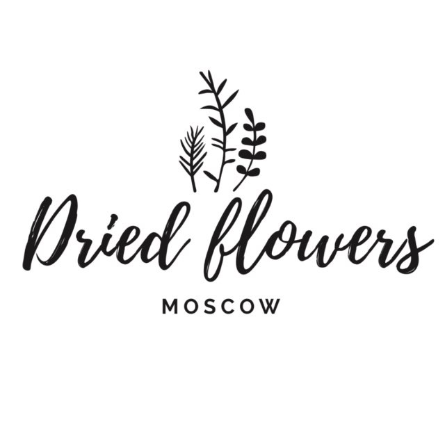 Dried Flowers Moscow | Сухоцветы | Стабилизированные цветы
