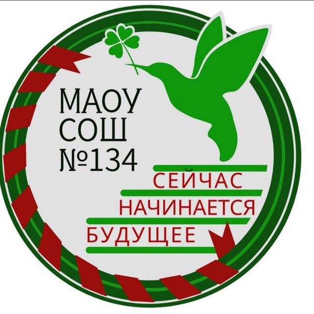 МАОУ « СОШ 134»